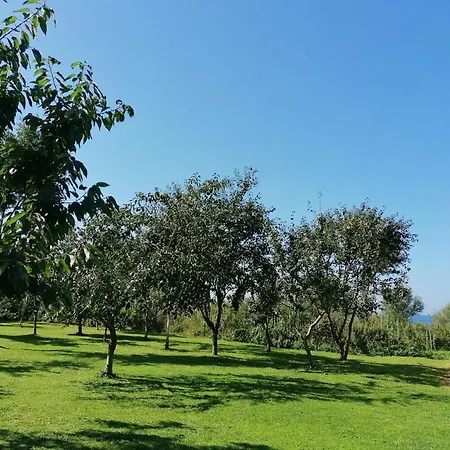 Hof Am Seefalke